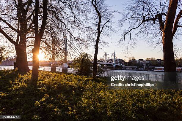 albert bridge seen from battersea park, london, england, uk - albert bridge stockfoto's en -beelden