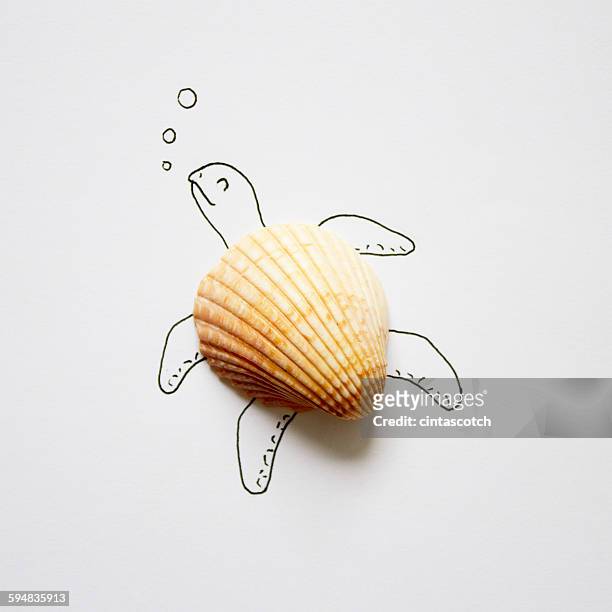 2 359点の貝殻イラスト素材 Getty Images