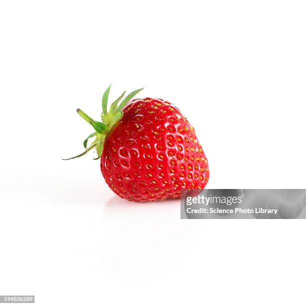 strawberry - fraises fond blanc photos et images de collection