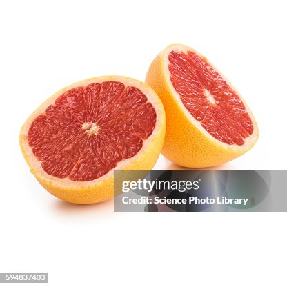 Grapefruit Grapefruit