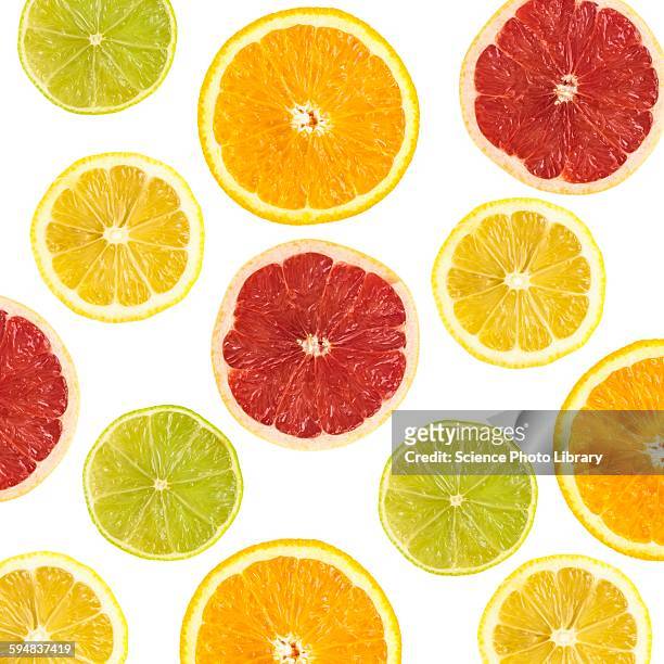 citrus fruit slices - agrumi foto e immagini stock
