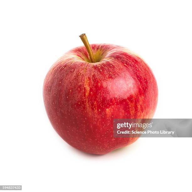 apple - red apple stock pictures, royalty-free photos & images