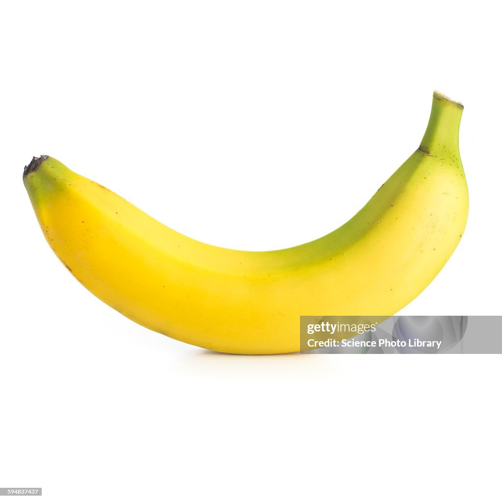 Banana