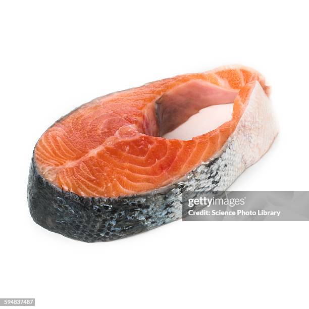 salmon steak - salmon steak stock pictures, royalty-free photos & images