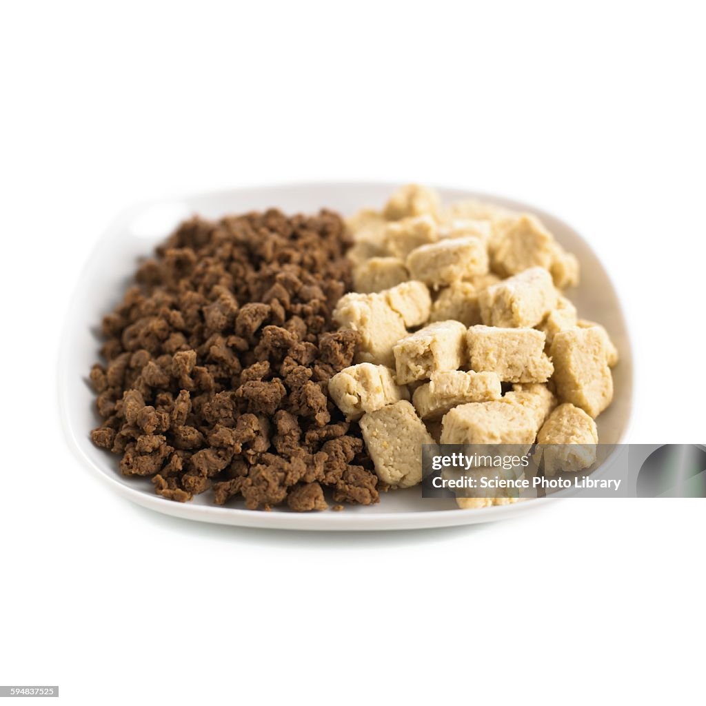 Meat substitutes