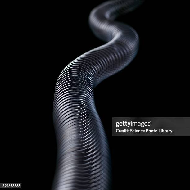 transverse wave - metal coil stock pictures, royalty-free photos & images