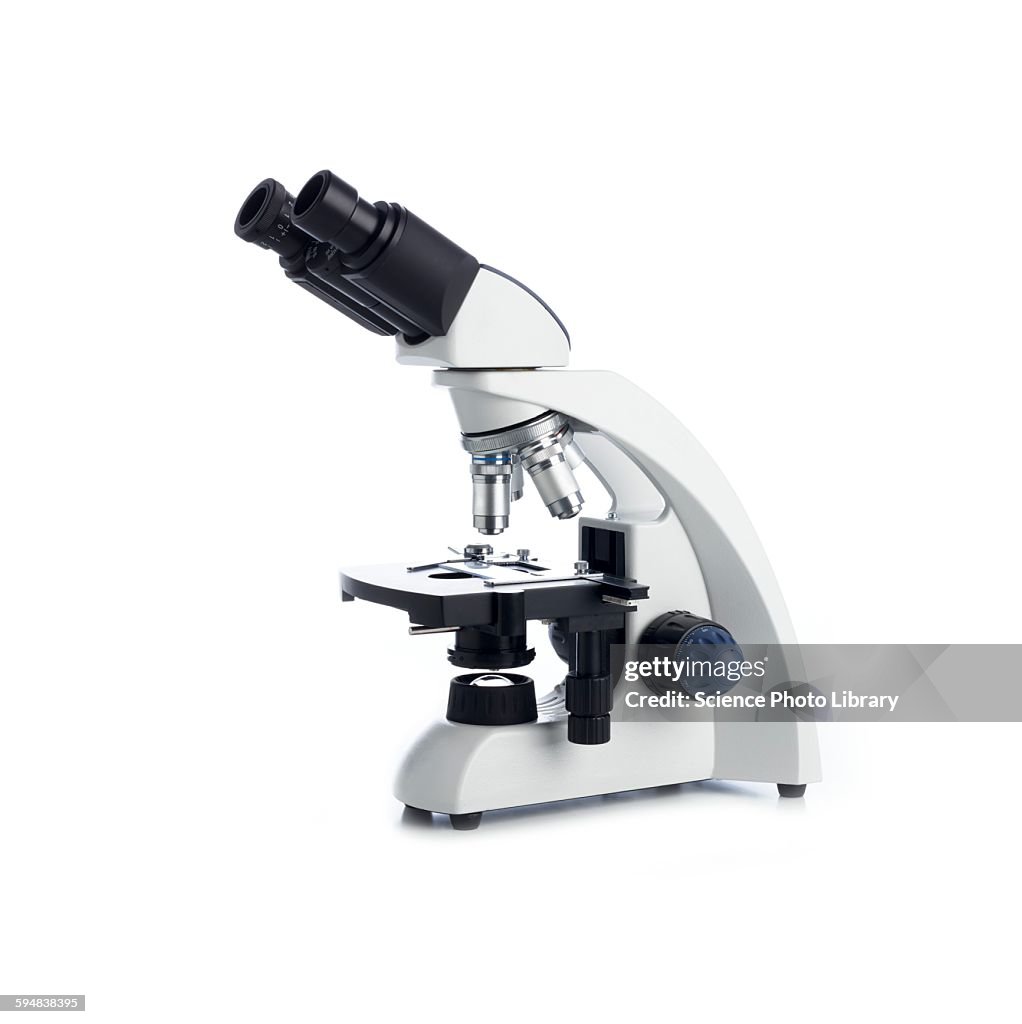 Light microscope