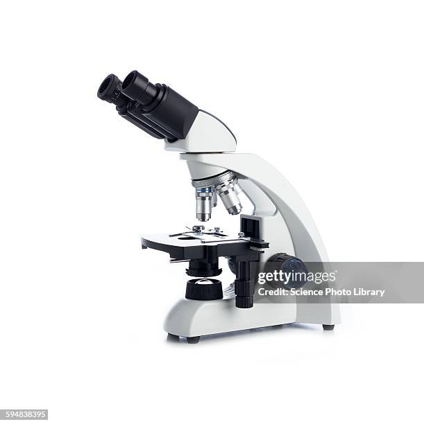 light microscope - microscoop stockfoto's en -beelden