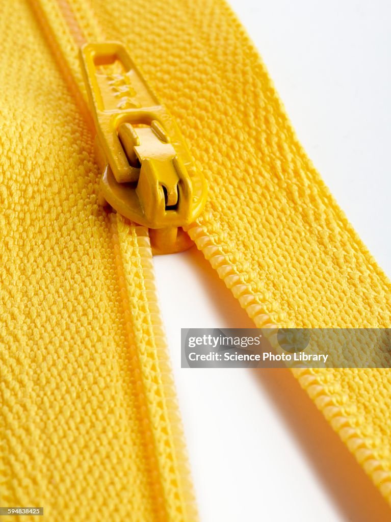 Yellow zip