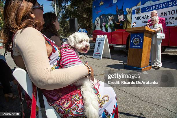 Local resident Nicky Kapadia and her Maltipoo "Snowy" listening to Erika Brunson during a press conference presided by County Supervisor Michael...