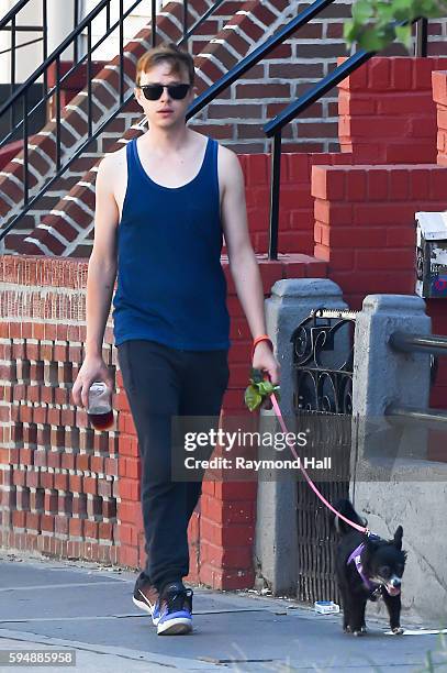 Actor Dane DeHaan and Anna Wood are seen walking their dog in Brooklyn on August 24, 2016 in New York City.