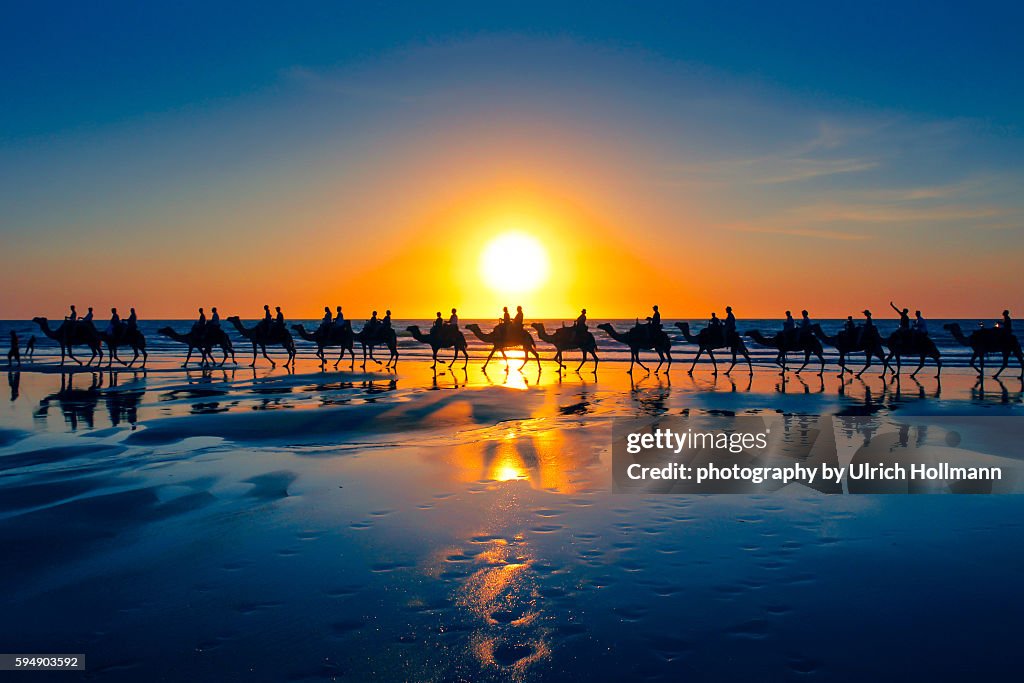 The famous camel train, Cable Beach, Western Australia