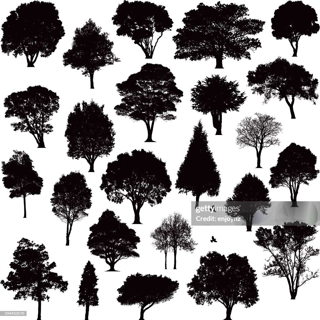 Detailed tree silhouettes