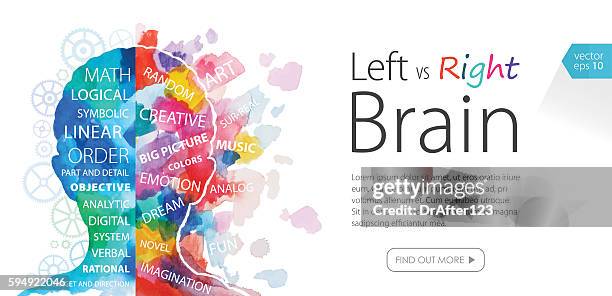 aquarell banner links vs rechtes gehirn - cerebral hemisphere stock-grafiken, -clipart, -cartoons und -symbole