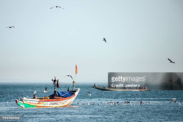african fishing boats. the gambia. - gambia stock pictures, royalty-free photos & images