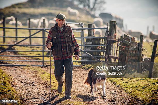 granjero y su perro - british culture walking fotografías e imágenes de stock