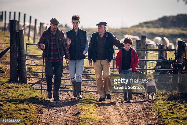 landwirtschaft läuft in der familie - british culture walking stock-fotos und bilder