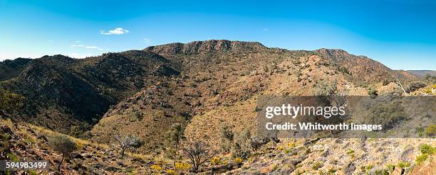 Gammon Ranges National Park Photos and Premium High Res Pictures ...