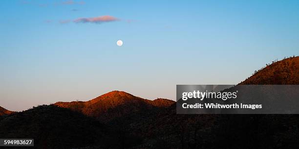 Gammon Ranges Sa Gammon Ranges National Park Photos and Premium High Res Pictures ...