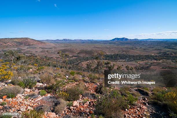 Gammon Ranges Sa 51 Gammon Ranges National Park Stock Photos, High-Res Pictures, and ...