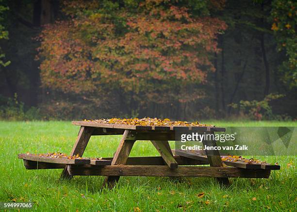 autumn leaves on a picnic table - jenco stockfoto's en -beelden