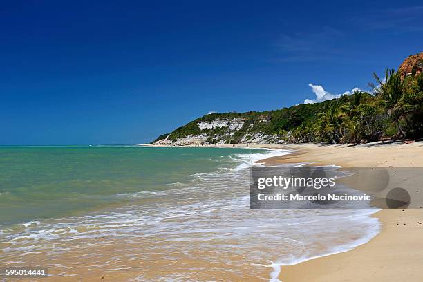 espelho beach in trancoso - espelho 個照片及圖片檔