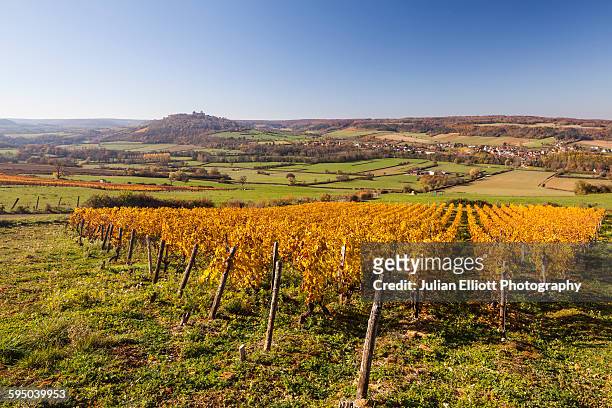 autumn color in the vineyards near to vezelay. - yonne fotografías e imágenes de stock