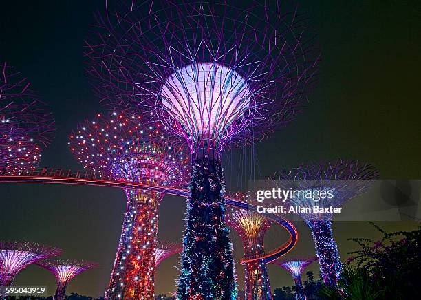 super tree grove in singapore's gardens by the bay - singapore garden stock illustrations
