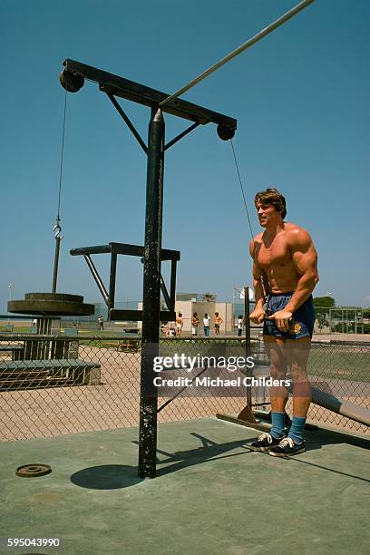 American actor of Austrian origins Arnold Schwarzenegger training for a culturisme championship. He is a five-time Mr Universe and a seven-time Mr...