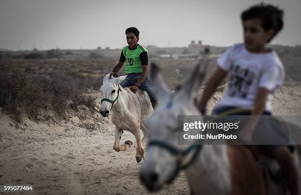 Daily donkeys race in Saar village west of the capital Manama which every week competitorsrace each others with donkeys and horses on May 10, 2014