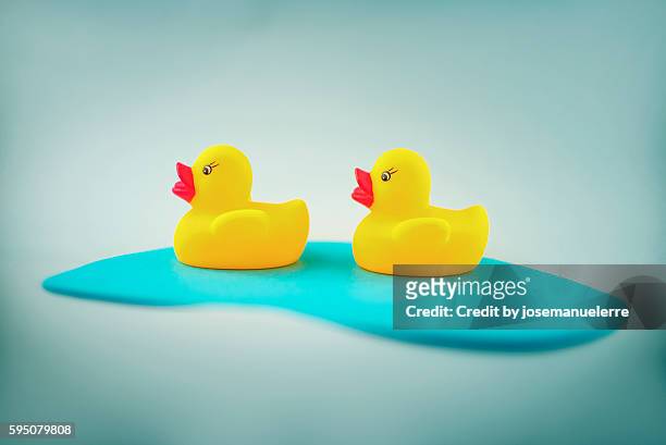 rubber ducks - josemanuelerre stock-fotos und bilder