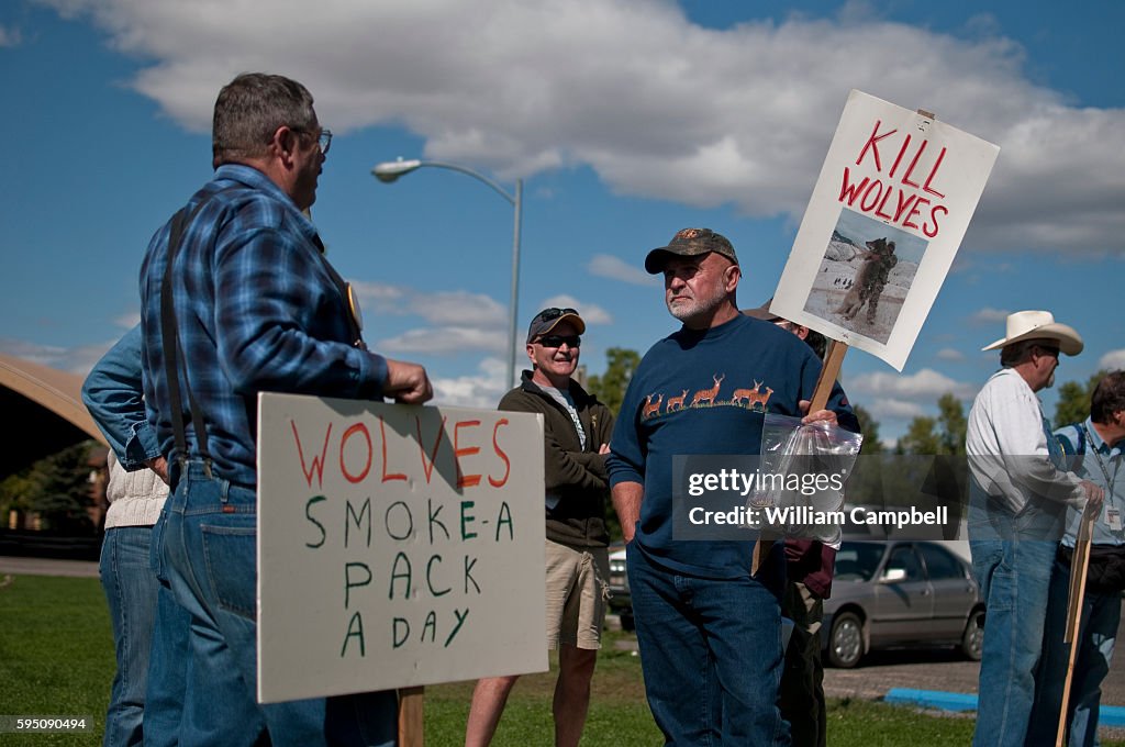 Save Wolves Protest Anti wolf protest at Bogert Park, Bozeman, Montana. Hunters and... News ...