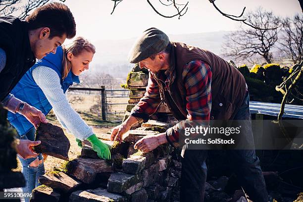 un agriculteur et des enfants réparent un vieux mur de pierre - ouvrier maçon photos et images de collection