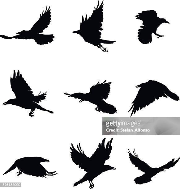 stockillustraties, clipart, cartoons en iconen met shapes of flying crows - crow