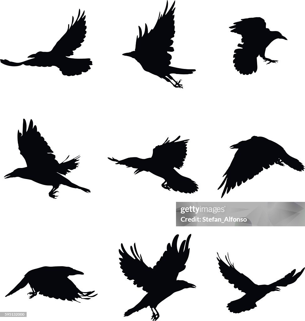 Shapes Of Flying Crows High-Res Vector Graphic - Getty Images