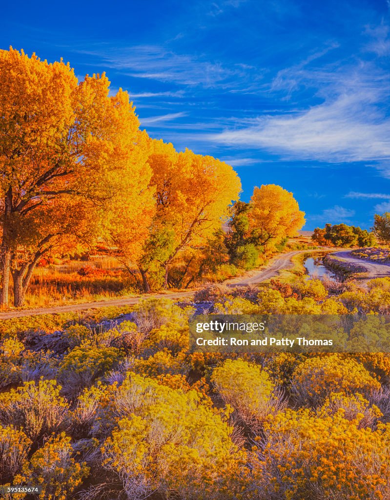 Peak Autumn Cottonwood trees Owens Valley vicino bishop CA
