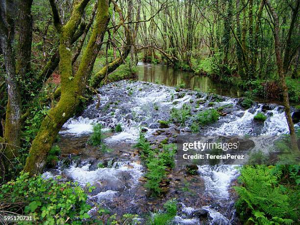 river - pontevedra province ストックフォトと画像