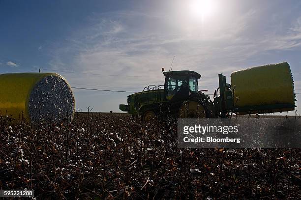 John Deere & Co. Tractor carries a cotton module ready for transport to the gin at Legacy Farms in the Nueces County of Chapman Ranch, Texas, U.S.,...