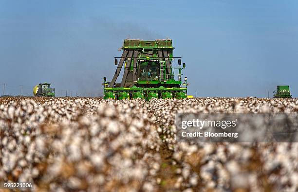 John Deere & Co. Cotton pickers harvest cotton crops at Legacy Farms in the Nueces County of Chapman Ranch, Texas, U.S., on Monday, Aug. 22, 2016....