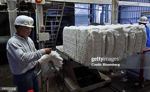 Worker examines a sample of ginned cotton at the Gulf Coast Cooperative gin in the Nueces County of Bishop, Texas, U.S., on Wednesday, Aug. 24, 2016....