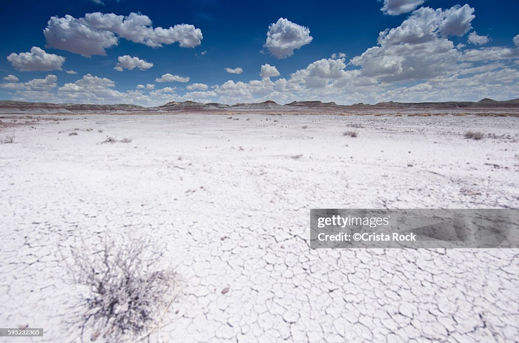 White desert