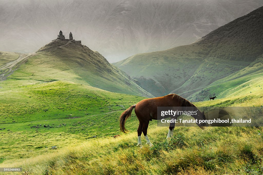 Mountains of Kazbegi in Georgia.