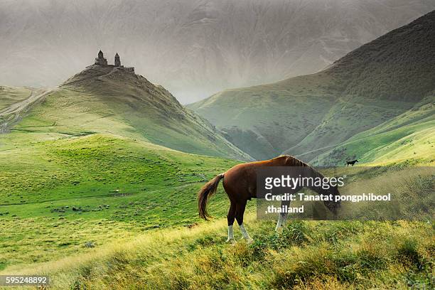 mountains of kazbegi in georgia. - caucasus stock pictures, royalty-free photos & images