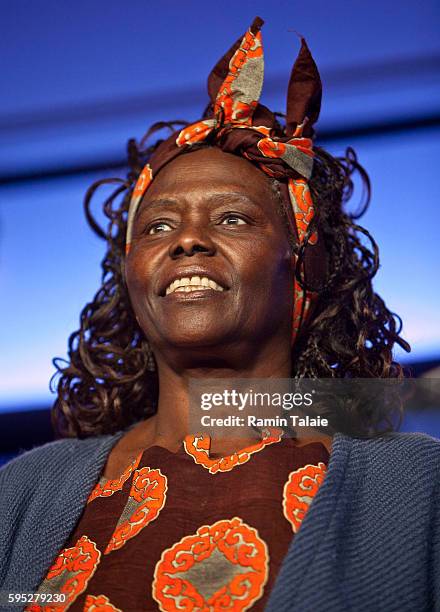 856 Wangari Maathai Photos High Res Pictures Getty Images 856-wangari-maathai-photos-high-res-pictures-getty-images