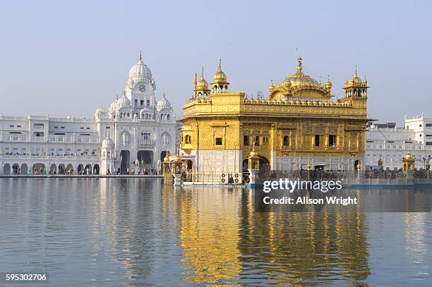 the golden temple - golden temple india stock-fotos und bilder