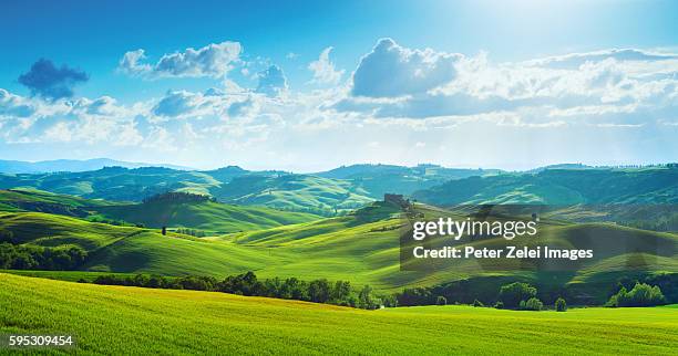 green hills in tuscany, italy - panoramisch stock-fotos und bilder