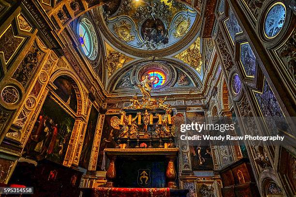 dominican church and monastery of the holy trinity, kraków, poland - rauw 個照片及圖片檔