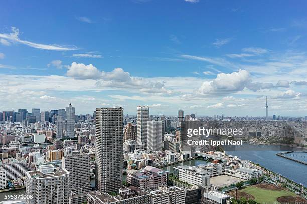 aerial view of tokyo bay area with tokyo sky tree on the horizon - stadtteil koto stock-fotos und bilder