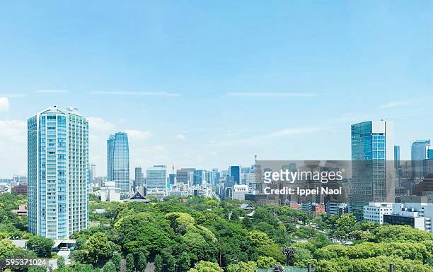 tokyo skyline with lush green park on a sunny day - weelderige plantengroei stockfoto's en -beelden