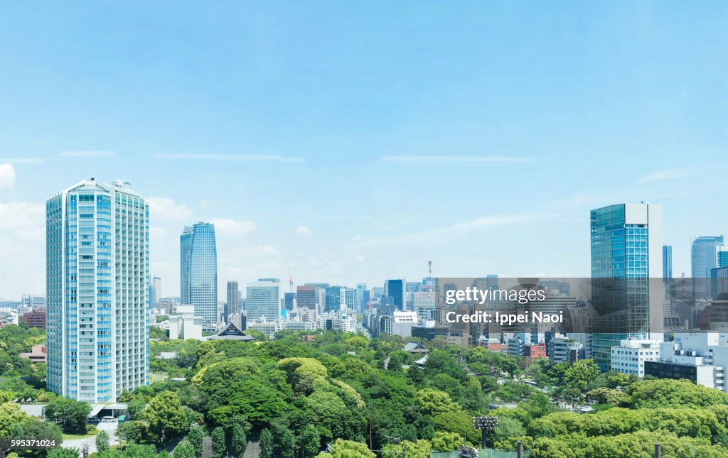 Tokyo skyline with lush green park on a sunny day
